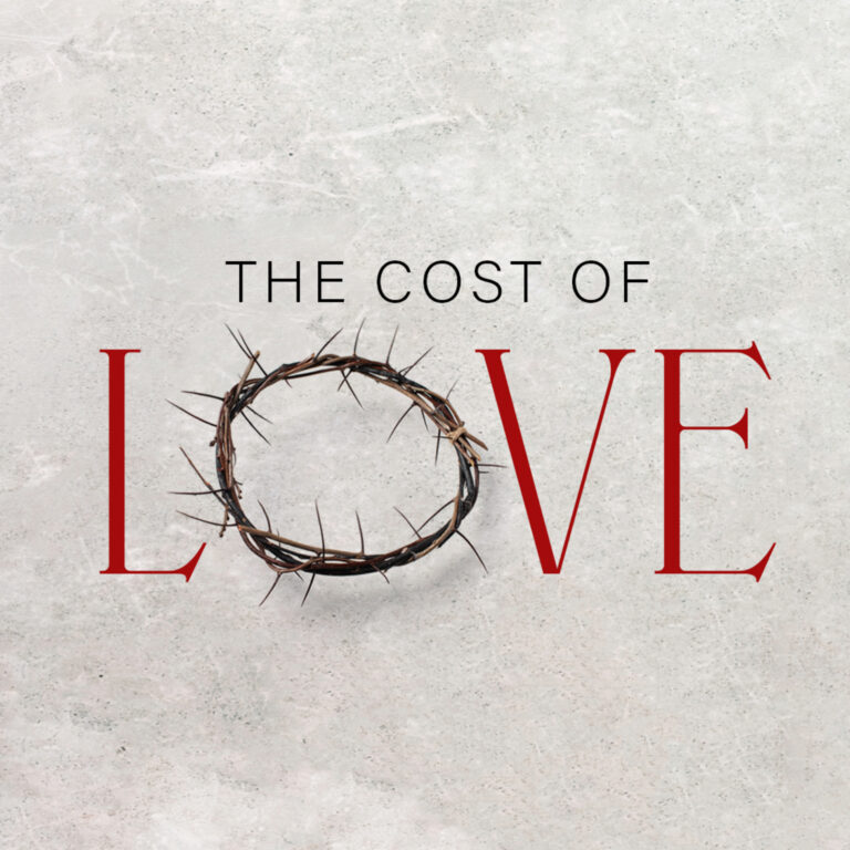 #2614: The Light That Leads To Life